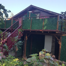 Roof Garten Hotel, 波洛内兹柯伊 — 照片 4