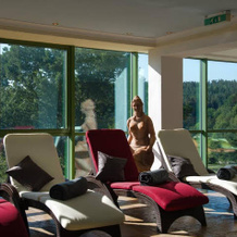Pfalzblick Wald Spa Resort, Дан — фото 2