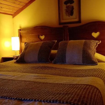 Hostal Lago Ranco, Лаго-Ранко — фото 3
