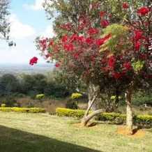 Domino Accommodation and Restaurant, Zomba — photo 2