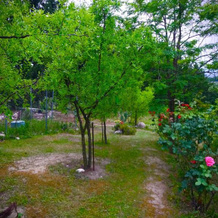 B&B Prato San Lorenzo, 诺恰诺 — 照片 3