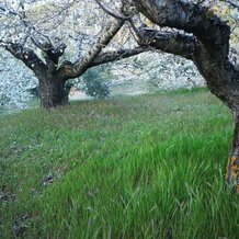 Casa Rural Arenaria, 托雷斯 — 照片 3