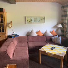 Haus am Sonnenberg Todtnauberg, Fewo 305, 托特瑙 — 照片 2