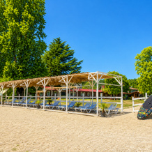 Tri Topolya Resort, 勒德扎 — 照片 5