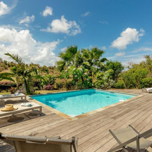 Villas Palm, Le Vauclin — photo 5