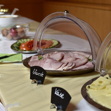 Junges Hotel Tulln, Тульн-на-Дунае — фото 5