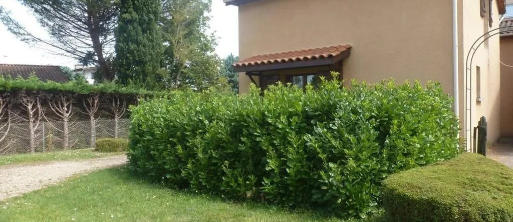 Beaujolais Home, 索恩河畔自由城 — 照片 1