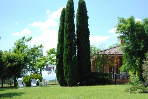 La Collina Sul Mare, Монте-Сан-Вито — фото 1