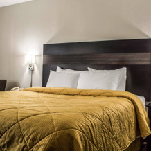 Residence Inn Syracuse Carrier Circle, 东锡拉丘兹 — 照片 3