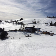 Happy Big Family, Oberried — photo 4