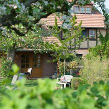 Familienferienhof Sell´s Scheune, Sundhausen — photo 4
