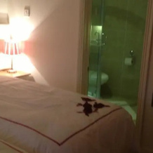Culmore Cottage B&B, 伦敦德里 — 照片 5