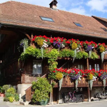 B&B Liechti Blumen, Фрутиген — фото 5