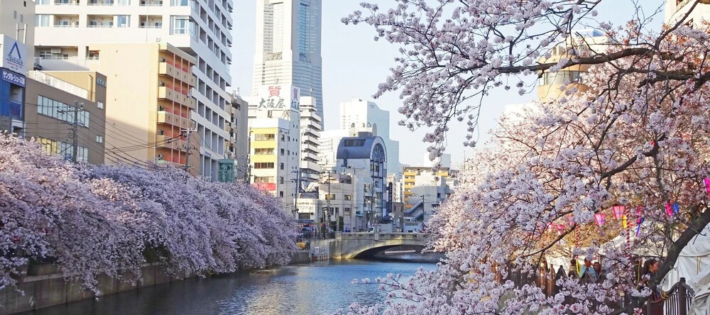 Yokohama Classic Apartment, Йокогама — фото 1