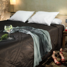 Hotel Castell d'Emporda, Castell d'Empordà — photo 3
