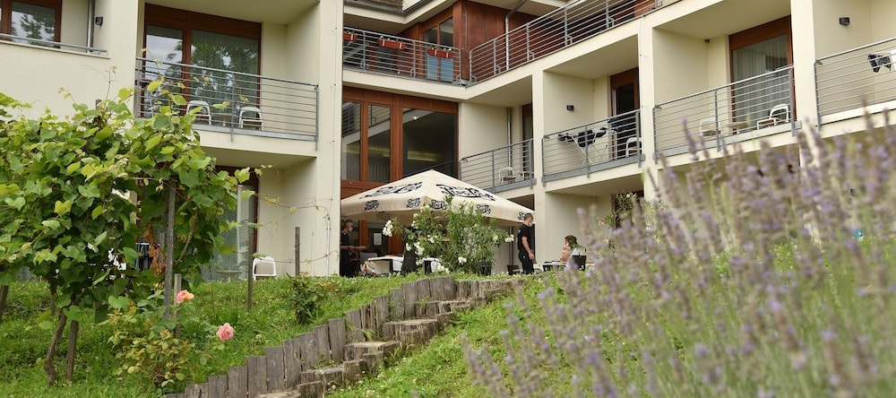 Hotel Bonvino Wine & Spa, 鲍道乔尼托毛伊 — 照片 1