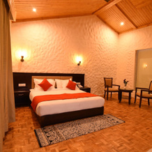 Aureva Shaantam Resorts & Spa, 瑞诗凯诗 — 照片 4