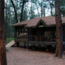 Devbagh beach resort - Junglelodges, 卡尔瓦尔 — 照片 4