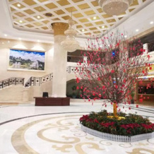 Vienna International Hotel (Daxin Detian Square), Chongzuo — photo 4