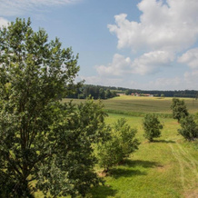 Schnaitl Braugasthof- Hotel, Оберхофен — фото 3
