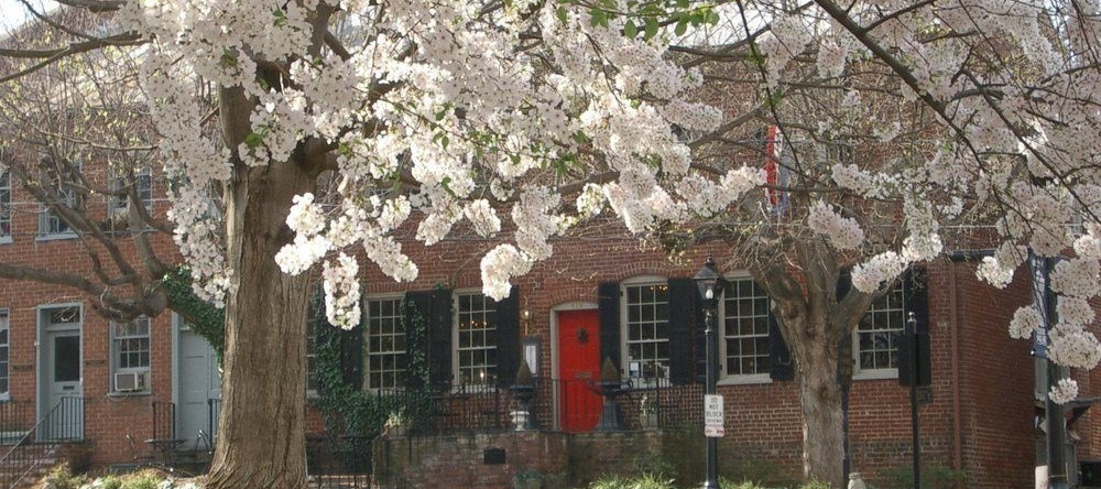 Inn at Court Square, 夏洛茨维尔 — 照片 1
