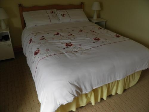 Lakemount House B&B, Киллорглин — фото 1