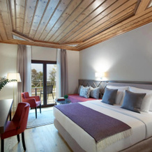 The Lake Hotel, 约阿尼纳 — 照片 3
