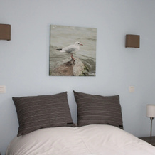 Modern apartment in Bray-Dunes with terrace, Bray-Dunes — photo 4