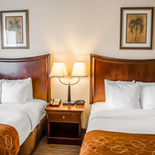 Comfort Suites Saraland - North Mobile, 萨拉兰 — 照片 5