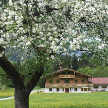 Landgasthof Ledererwirt, Ebbs — photo 4