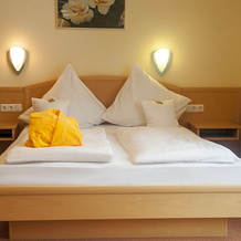 Hotel Der Seehof, 豪岑贝格 — 照片 5