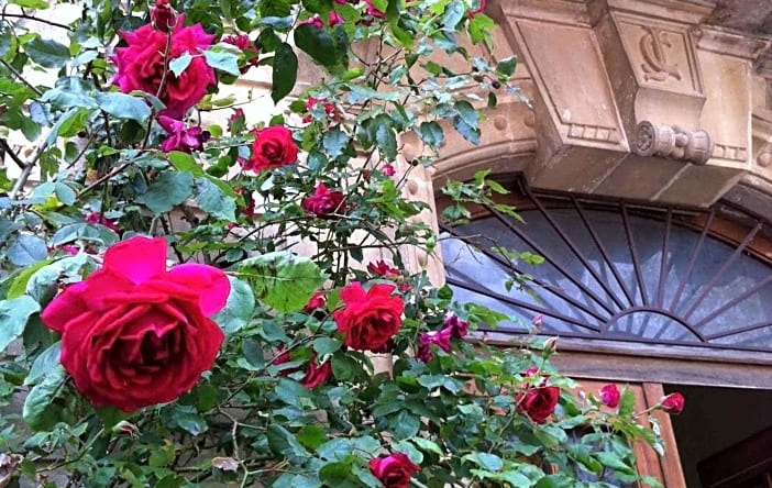Belle maison dans le sud de la France, 圣瓦利埃 — 照片 1