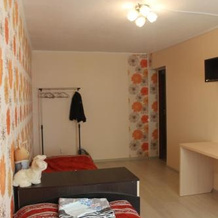 Guest House on Mira 19, Veshkelitsa — photo 2