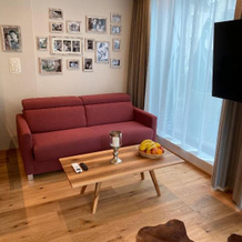 Apartment Suite Chalet Wirz Travel, 萨尔嫩 — 照片 2