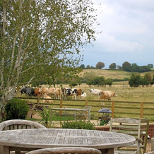 The Stables B&B @ Pear Tree Cottage, Buckingham — photo 4