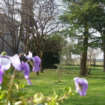 Fiori Di Maggio, Кодройпо — фото 5