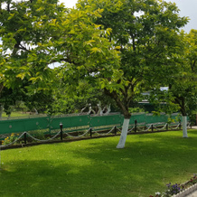 Milena Guest house, 阿久布扎 — 照片 4