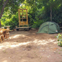 Selous Adili Forest Camp, Млока — фото 2