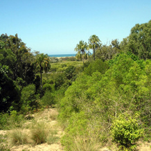 Broadwater Haven, 艾格尼丝水 — 照片 3