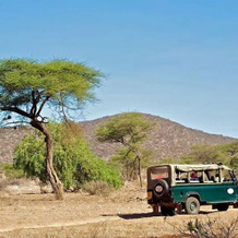Samburu Intrepids Luxury Tented Camp Hotel, Самбуру — фото 5