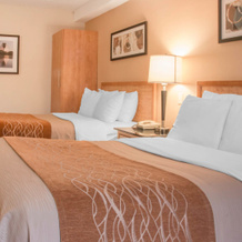 Comfort Inn Dryden, 德赖登 — 照片 2