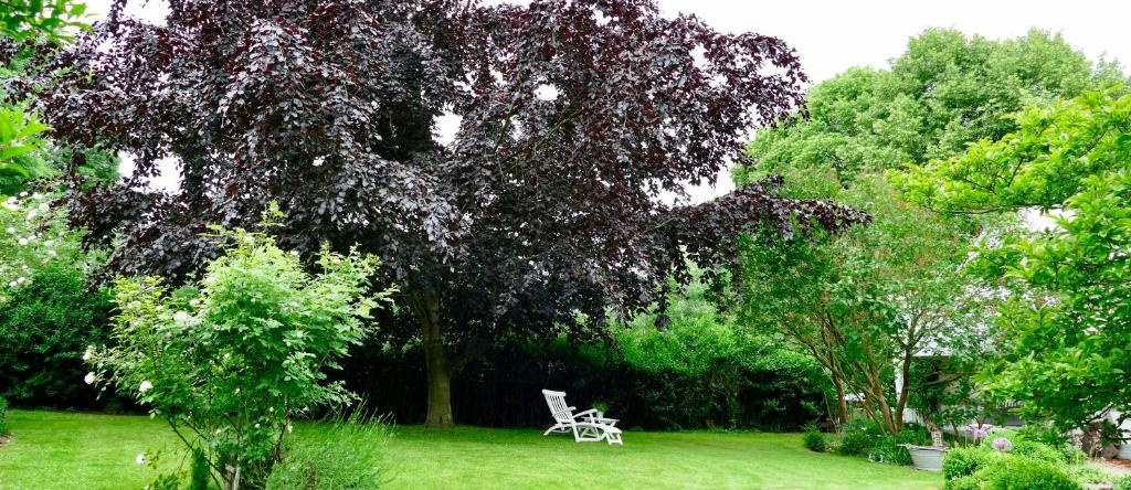 Kleine Ferienwohnungen - Störtebeker, Jarnitz — photo 1