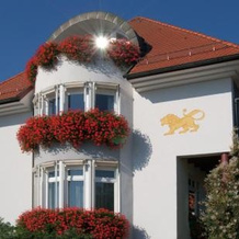 Landgasthof Hotel Löwen, Вильдберг — фото 2