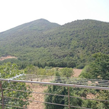 La Carrozza Sul Titerno, 法伊基奥 — 照片 2