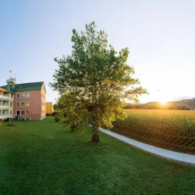 Ring Bio Hotel Hartberg, 哈特贝格 — 照片 4
