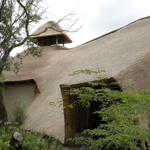 Modikgweng Lodge, Босхук — фото 3