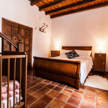 El Secreto del Olivo, Niguelas — photo 4