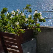 Le Sirene, Lerici — photo 4