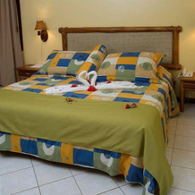 Hotel Sol Papagayo Resort, 帕帕加约 — 照片 5