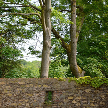 Cottage in Wierre-effroy Near Forest, 维尔-埃弗鲁瓦 — 照片 2